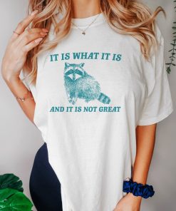 It Is What It Is And It Is Not Great - Vintage Drawing T Shirt, Raccoon Meme T Shirt, Funny Trash Panda T Shirt