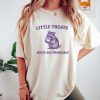 Little Treats Solve Big Problems , Vintage Drawing T Shirt, Raccoon Meme T Shirt, Sarcastic T Shirt, Unisex