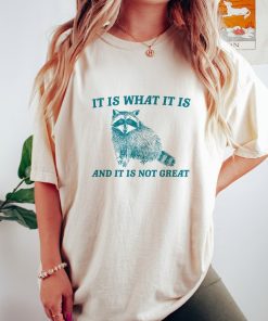 It Is What It Is And It Is Not Great - Vintage Drawing T Shirt, Raccoon Meme T Shirt, Funny Trash Panda T Shirt