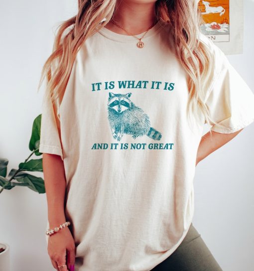 It Is What It Is And It Is Not Great - Vintage Drawing T Shirt, Raccoon Meme T Shirt, Funny Trash Panda T Shirt