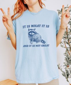 It Is What It Is And It Is Not Great - Vintage Drawing T Shirt, Raccoon Meme T Shirt, Funny Trash Panda T Shirt