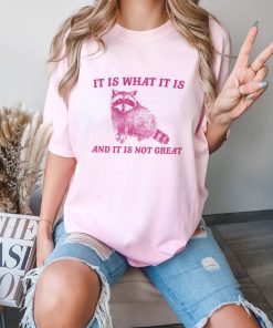 It Is What It Is And It Is Not Great - Vintage Drawing T Shirt, Raccoon Meme T Shirt, Funny Trash Panda T Shirt