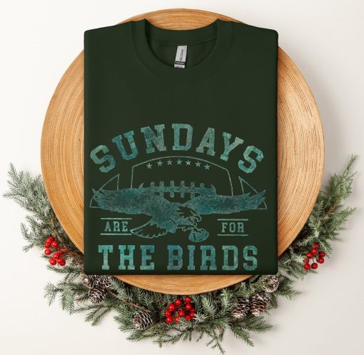 Philadelphia Football Sweatshirt, Vintage Philadelphia Shirt, Sundays are for the birds shirt, Bird Gang Sweater