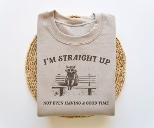 I'm Not Having A Good Time, Funny Sweatshirt, Funny Sweater, Meme Sweatshirt, Raccoon Sweatshirt, Trash Panda Sweater