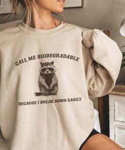 I Break Down Easily, Funny Sweatshirt, Funny Crewneck, Raccoon Meme Sweatshirt, Cartoon Meme Top