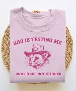 God Is Testing Me And I Have Not Studied, Funny Sweatshirt, Possum Sweatshirt, Vintage Cartoon Sweater, Unisex