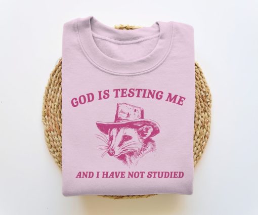 God Is Testing Me And I Have Not Studied, Funny Sweatshirt, Possum Sweatshirt, Vintage Cartoon Sweater, Unisex