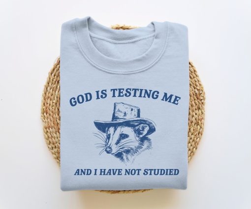 God Is Testing Me And I Have Not Studied, Funny Sweatshirt, Possum Sweatshirt, Vintage Cartoon Sweater, Unisex