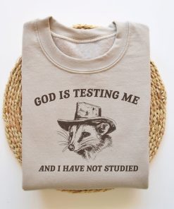 God Is Testing Me And I Have Not Studied, Funny Sweatshirt, Possum Sweatshirt, Vintage Cartoon Sweater, Unisex