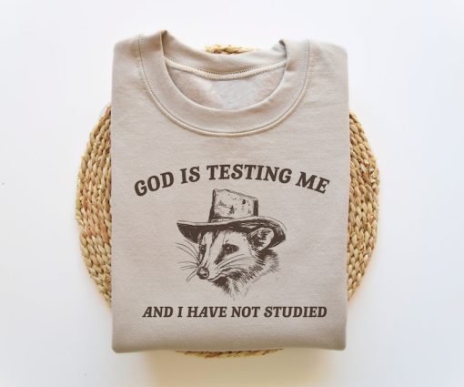 God Is Testing Me And I Have Not Studied, Funny Sweatshirt, Possum Sweatshirt, Vintage Cartoon Sweater, Unisex