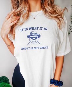 It Is What It Is And It Is Not Great - Unisex T Shirt, Funny T Shirt, Meme T Shirt, Cartoon Bear T Shirt