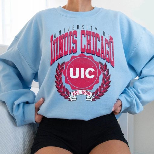 Vintage style University of Illinois–Urbana-Champaign Shirt, Illinois University Shirt, Illinois College Shirt