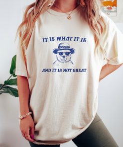 It Is What It Is And It Is Not Great - Unisex T Shirt, Funny T Shirt, Meme T Shirt, Cartoon Bear T Shirt