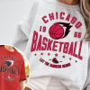 Vintage Chicago Bull Sweatshirt  T-Shirt, Bulls Sweater, Bulls T-Shirt, Chicago 1966, Chicago Basketball Fan Shirt