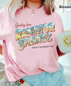 Radiator Springs Shirt, Vintage Disney Cars Shirt, Cars Movie Shirt