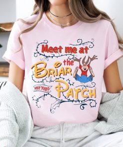 Disney Splash Mountain Shirt, Meet Me at The Briar Patch Shirt