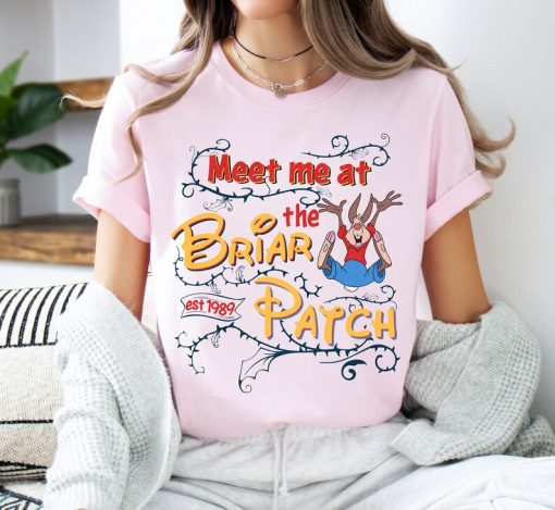 Disney Splash Mountain Shirt, Meet Me at The Briar Patch Shirt