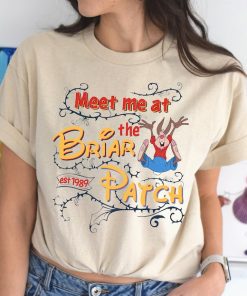 Disney Splash Mountain Shirt, Meet Me at The Briar Patch Shirt