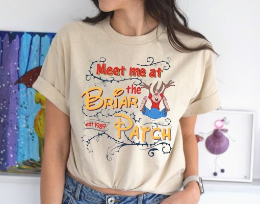 Disney Splash Mountain Shirt, Meet Me at The Briar Patch Shirt