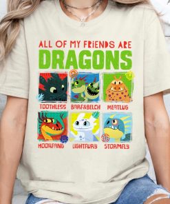 How To Train Your Dragon 3 Hidden World Dragon Friends T-Shirt