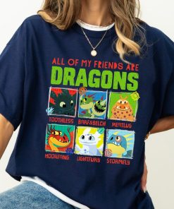 How To Train Your Dragon 3 Hidden World Dragon Friends T-Shirt