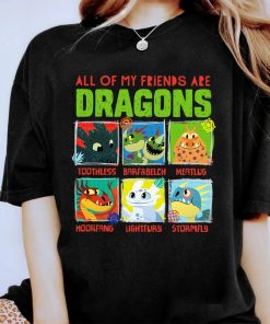 How To Train Your Dragon 3 Hidden World Dragon Friends T-Shirt