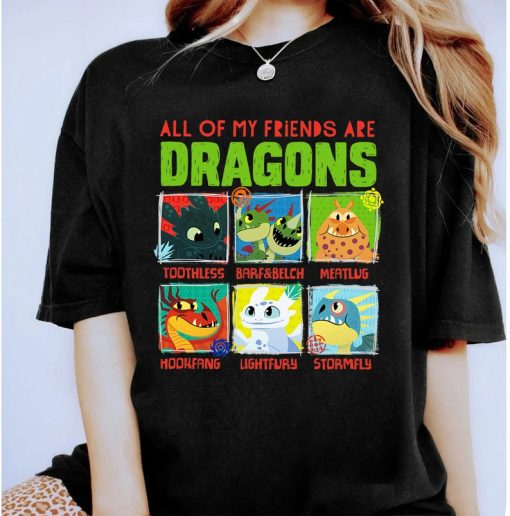 How To Train Your Dragon 3 Hidden World Dragon Friends T-Shirt