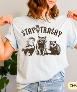 Comfort Colors Vintage 90s Funny Racoon Shirt, Retro Boho Aesthetic