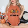 Comfort Colors Hello Pumpkin Fall Shirt, Autumn Shirt