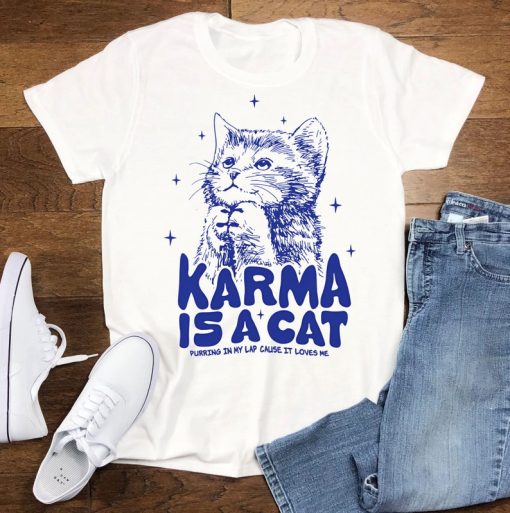 Karma Is A Cat Shirt, Swiftie Cat Lover T-shirt